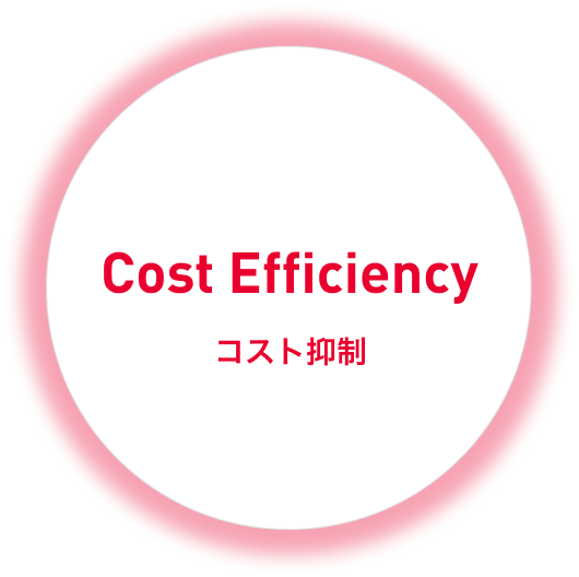 Cost Efficiency